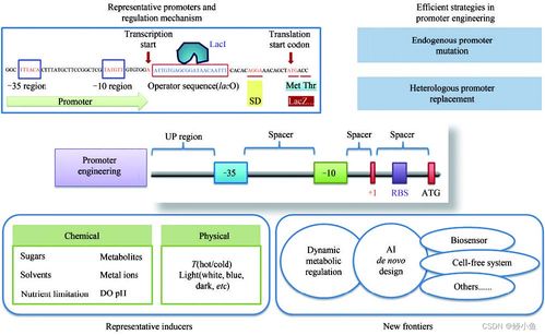 傳統(tǒng)行業(yè)與人工智能融合 材料、化學、物理、生物的發(fā)展與未來展望