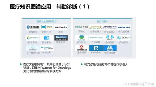 人工智能賦能醫(yī)療 從信息化技術方案到知識圖譜與軟件開發(fā)